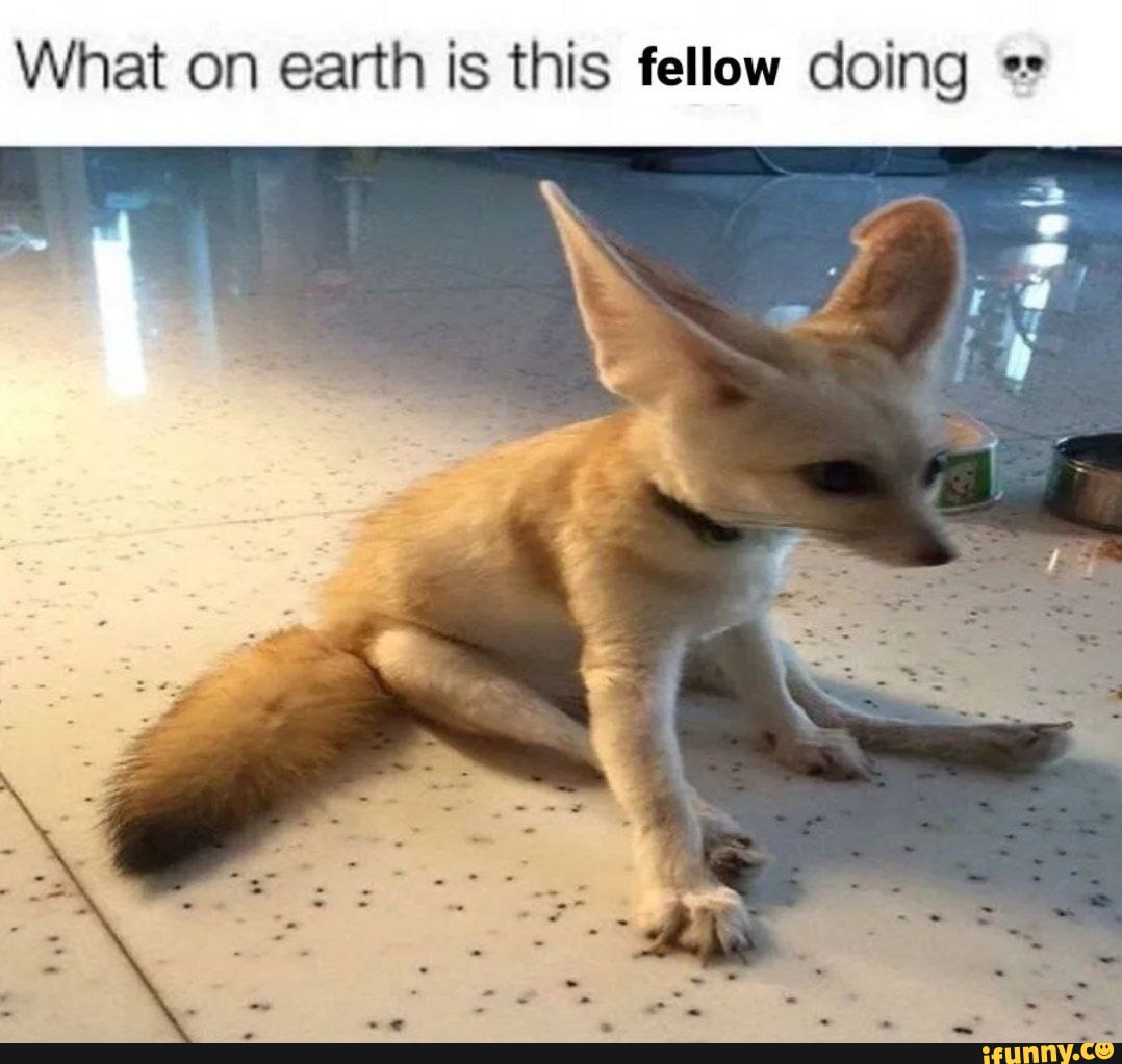 What on earth is this fellow doing ifunny