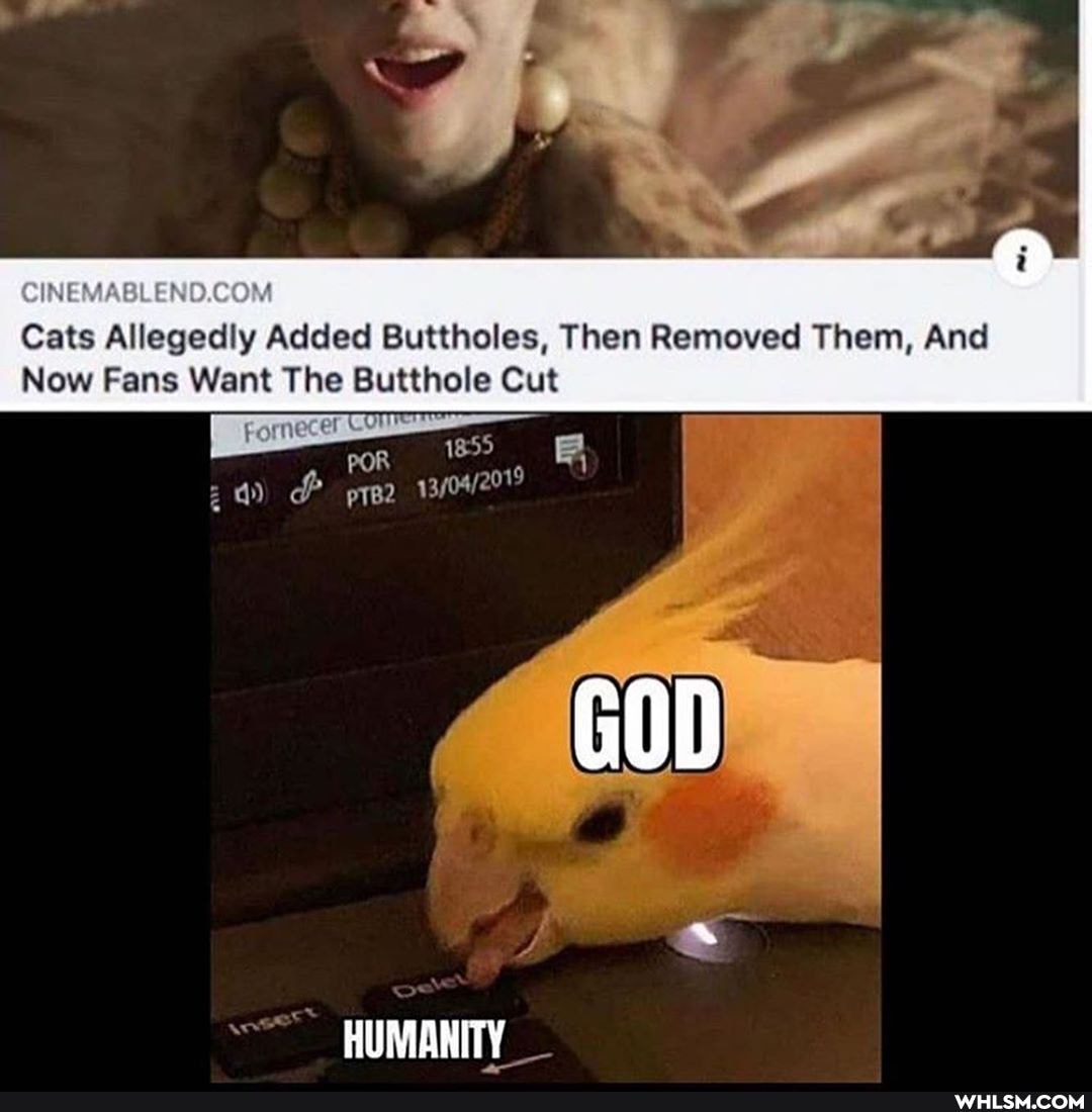 Cats Allegedly Added Buttholes, Then Removed Them, And
Now Fans Want The Butthole Cut
1855
dd) pTB2
HUMANITY