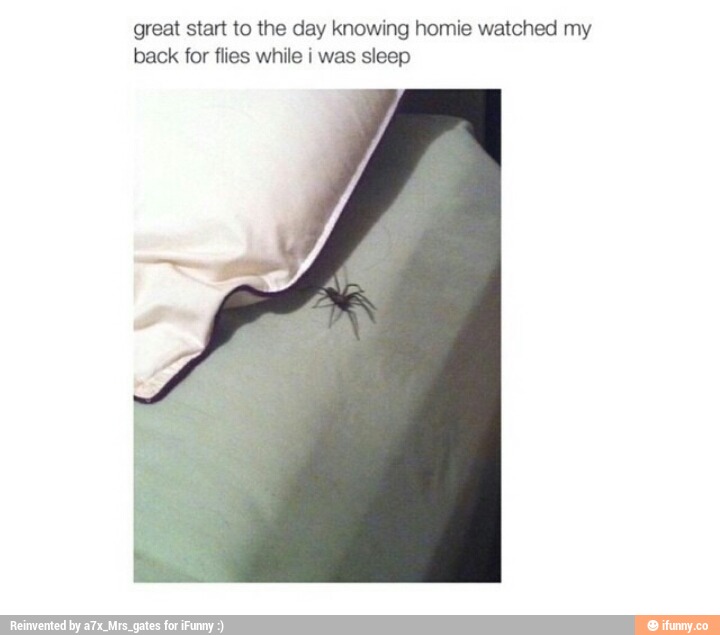 great star! to the day knowing homie watched my
back for flies while i was sleep