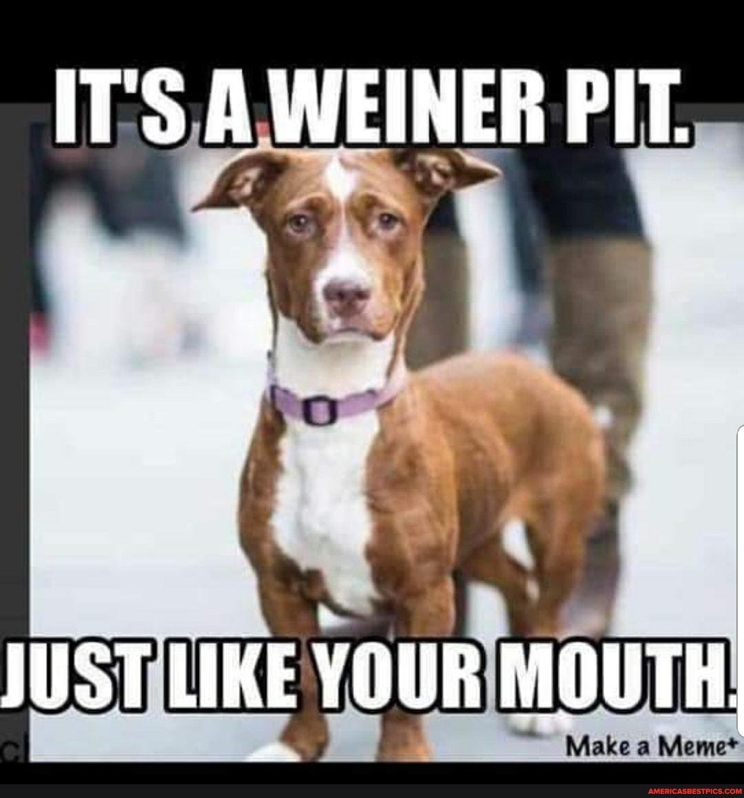 ITS A WEINER PIT.
JUST LIKE YOUR MOUTH.
Make Meme*