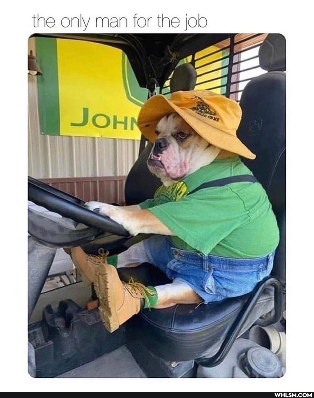 the only man for the job