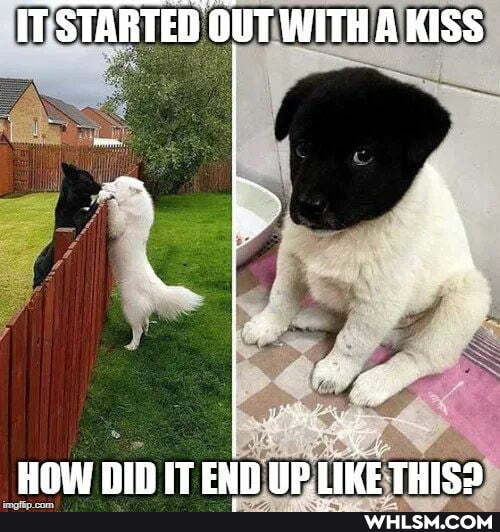 ITSTARTED OUT WITHA KISS
HOW NIN IT ENN PIKE THIS2