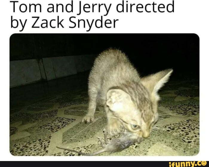 Tom and Jerry directed by Zack Snyder iFunny