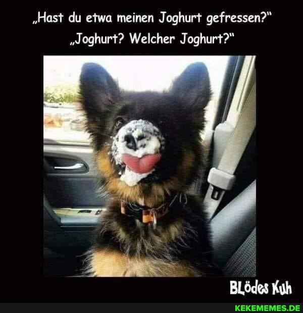 "Hast du etwa meinen Joghurt gefressen?"
"Joghurt? Welcher Joghurt?"