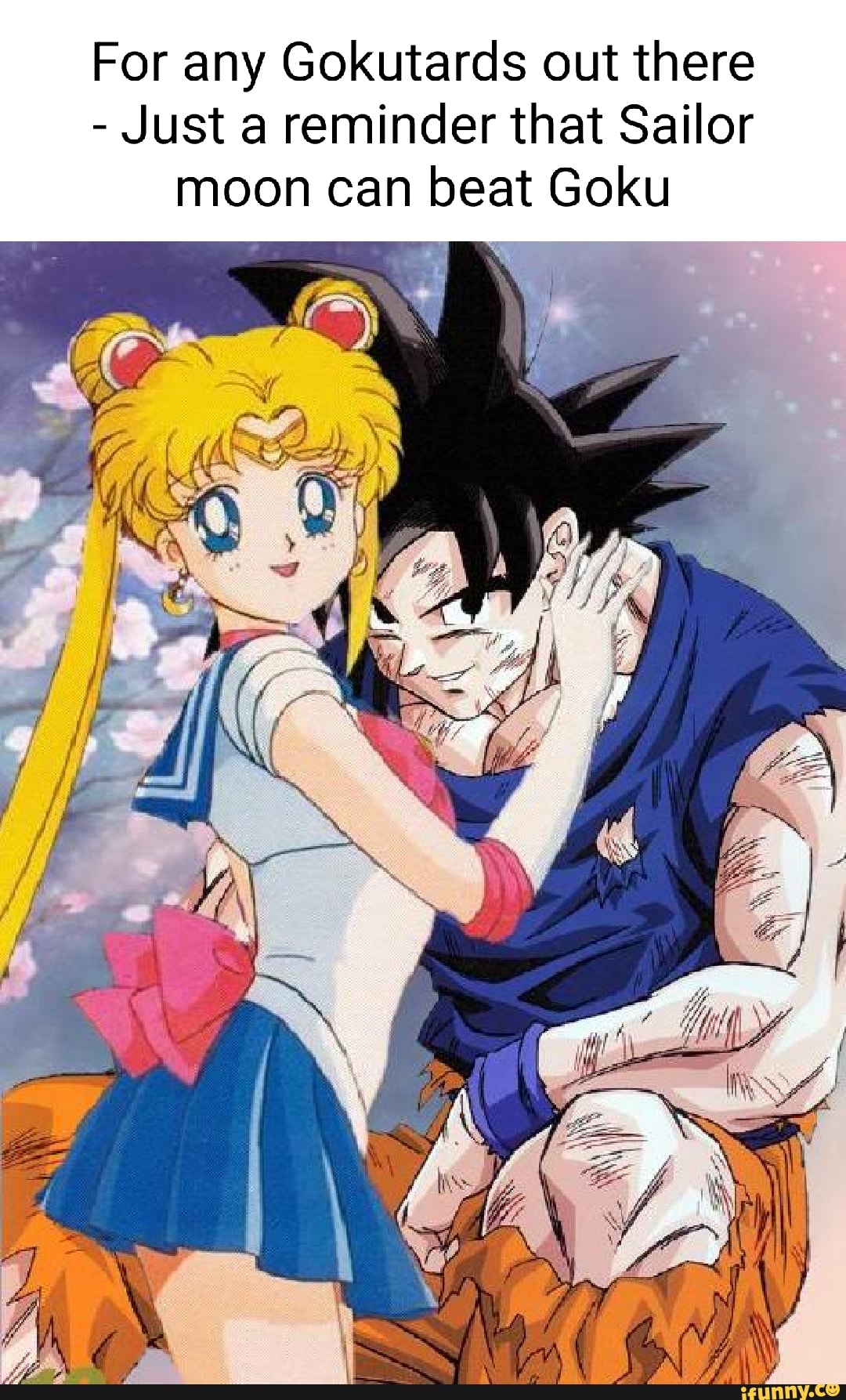 For Any Gokutards Out There Just A Reminder That Sailor Moon Can Beat Goku Ifunny 2304