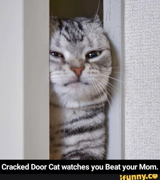 Cracked Door Cat watches you Beat your Mom. - Cracked Door Cat watches you Beat your Mom.