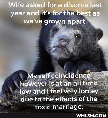 Wife asked for a divorce last year and it's for the best as we've grown apart.
My self coincidence however is at an all time low and i feel very lonley due to the effects of the
toyic marriade