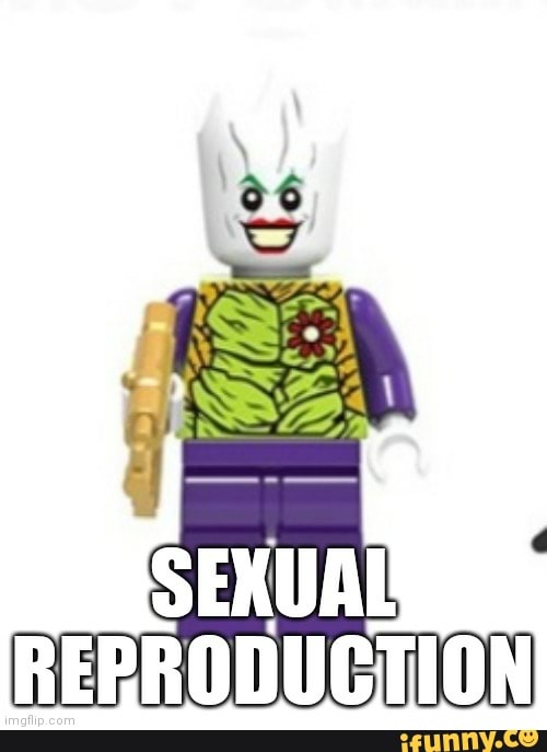 joker, lego, gayyyy, stupid, cursed, marvel, society, mcu, dceu, batman, comics