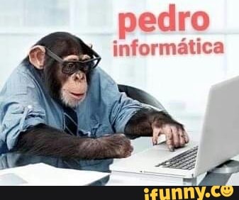 pedro
informática