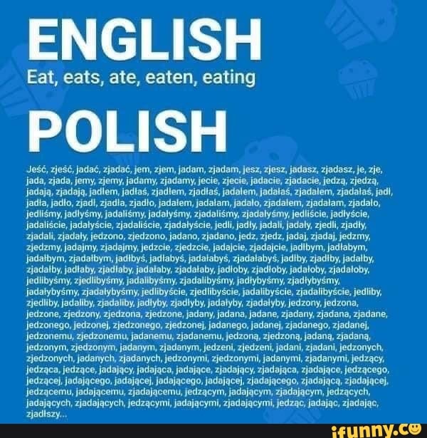English Vs Polish Words