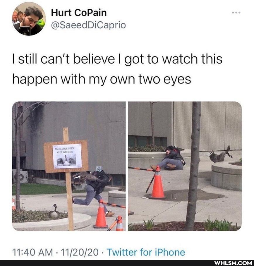 Hurt CoPain
@SaeedDiCaprio
I still can't believe I got to watch this happen with my own two eyes
AN. . Twitter for iDhone
