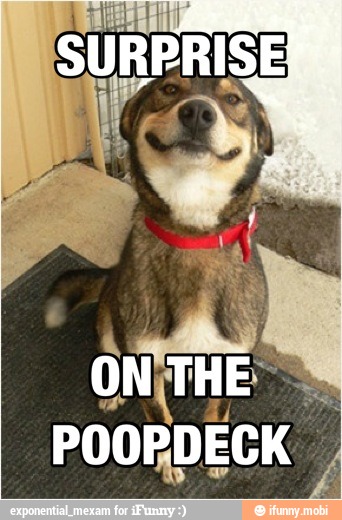 ont
THE
POORDECK