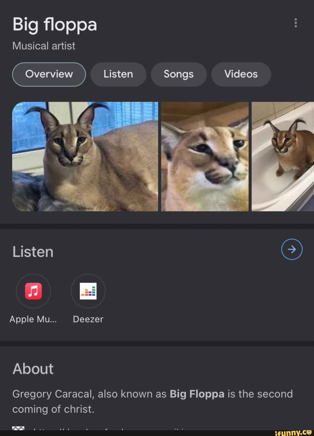 Big floppa
Musical artist
Overview Listen Songs Videos
Listen SS)
Apple Mu... Deezer
About
Gregory Caracal, also known as Big Floppa is the second coming of christ.