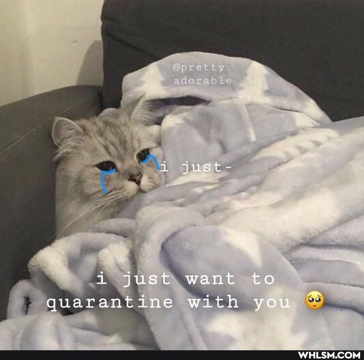 just-
i just want to quarantine with you