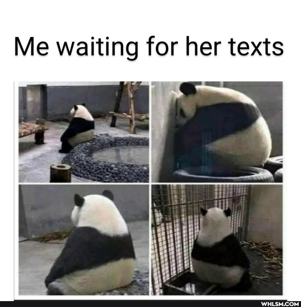 Me waiting for her texts