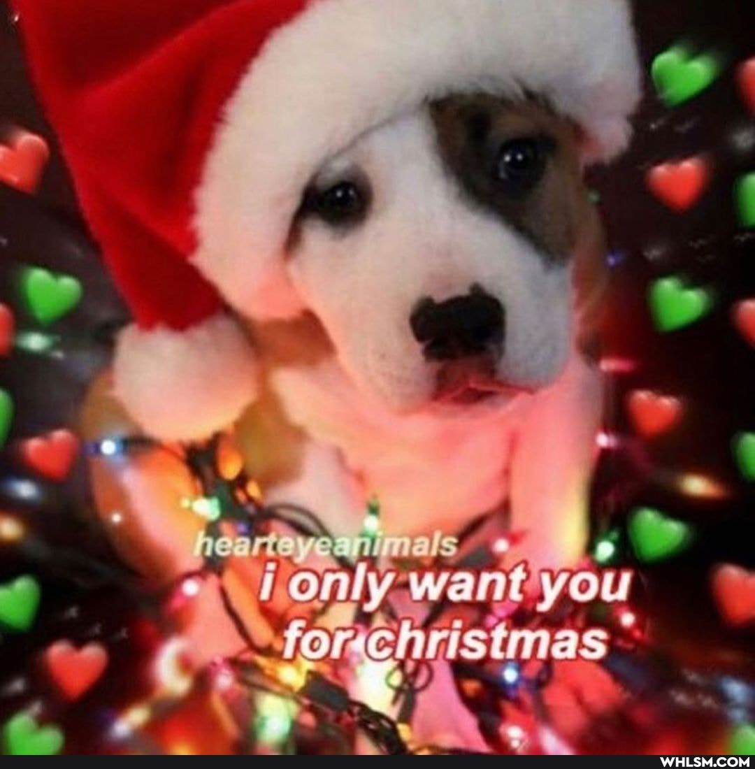 you forehristmas