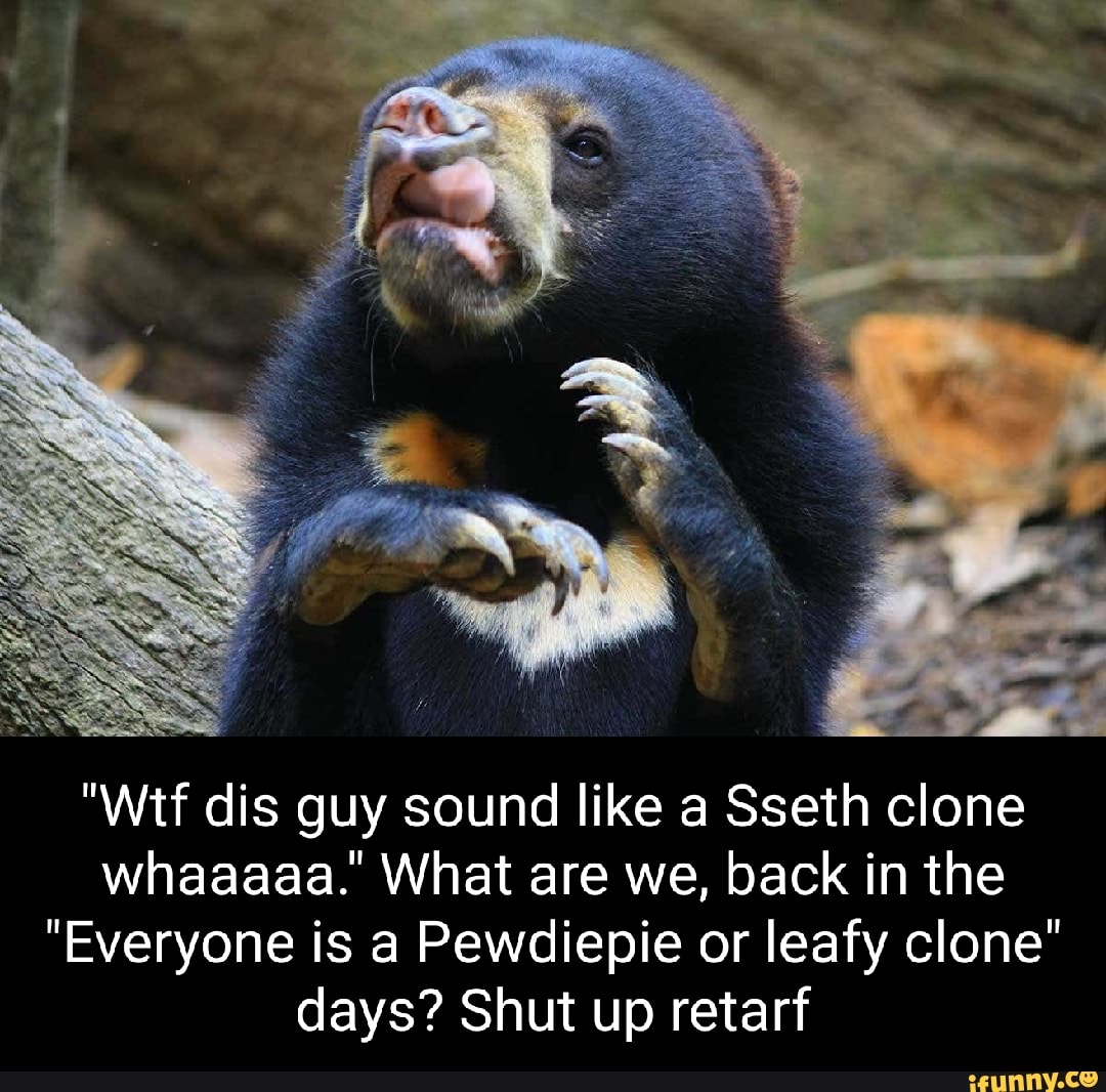 "Wtf dis guy sound like a Sseth clone whaaaaa." What are we, back in the
"Everyone is a Pewdiepie or leafy clone" days? Shut up retarf