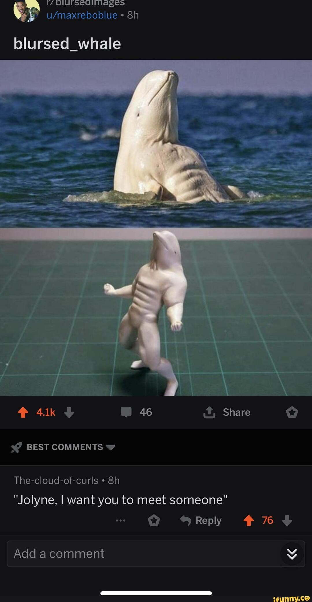 blursed_whale
BEST COMMENTS
The-cloud-of-curls
"Jolyne, I want you to meet someone"
Add acomment