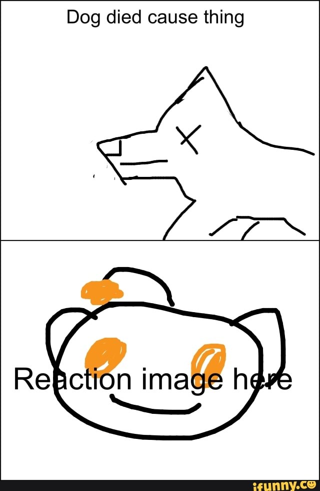 Dog died cause thing