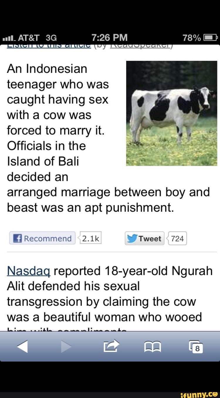 All PM An Indonesian teenager who was caught having sex with a cow was  forced to