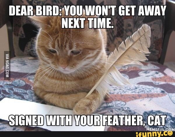 DEAR BIRD: YOU WON'T GET AWAY NEXT TIME.
WITH CAT