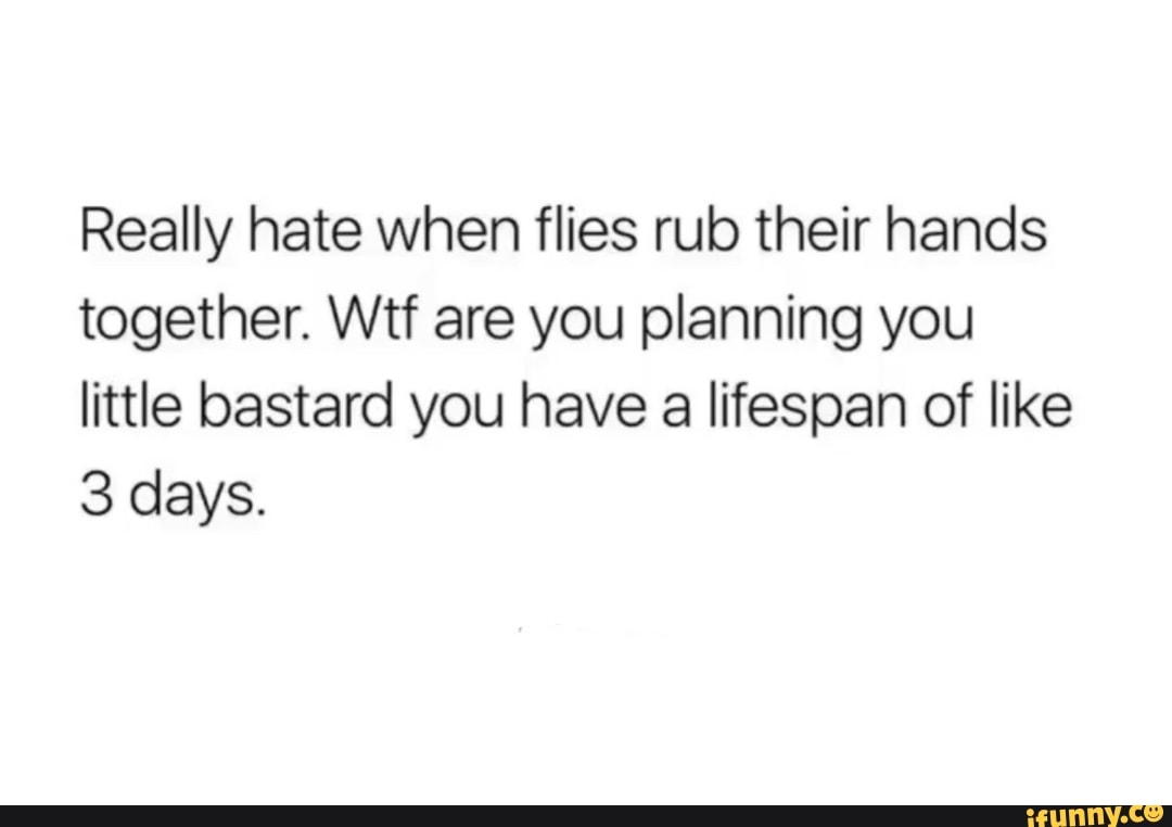 Really hate when flies rub their hands together. Wtf are you planning