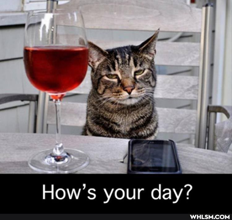 How's your day?