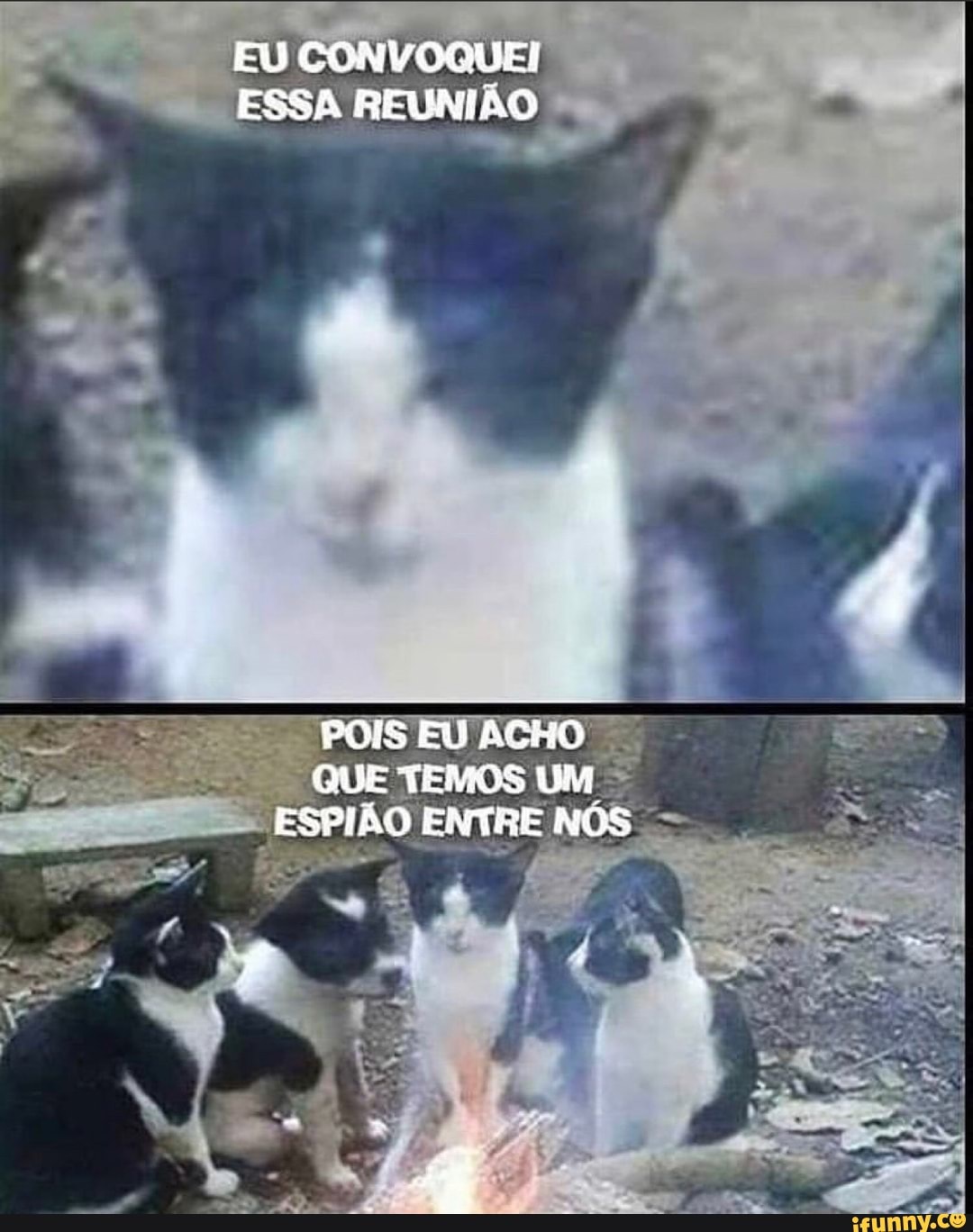 EU CONVOQUEI!
ESSA REUNIÃO
POIS EU ACHO QUE TEMOS UM ESPIÃO ENTRE NÓS