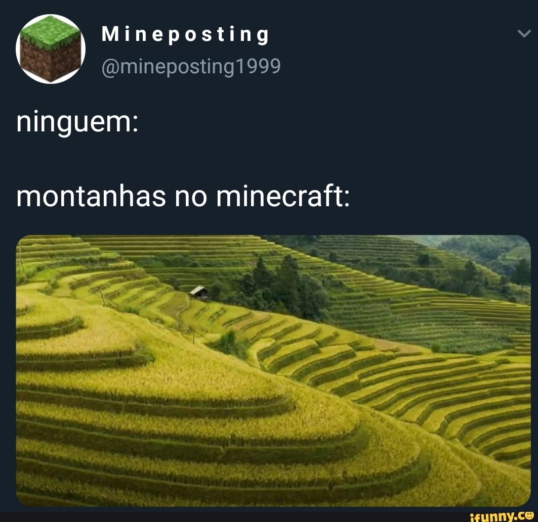 Mineposting v
ninguem:
montanhas no minecraft: