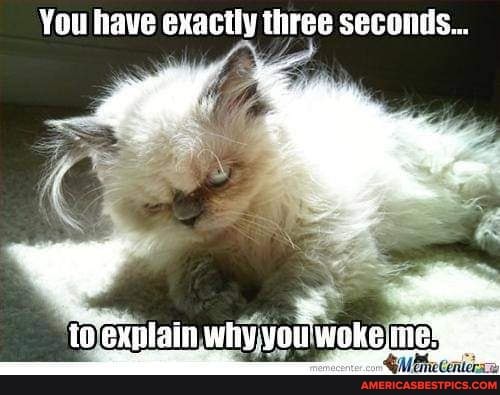 You have exactly three seconds...