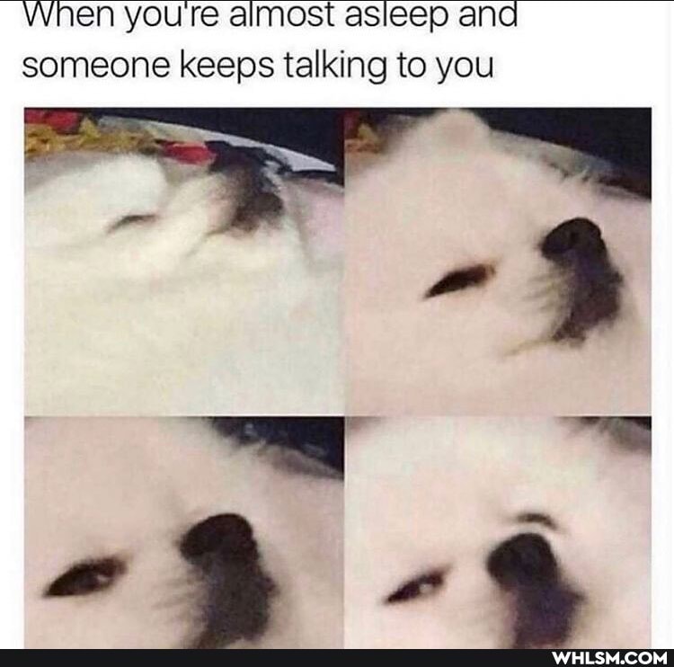 When you're almost asleep ana someone keeps talking to you