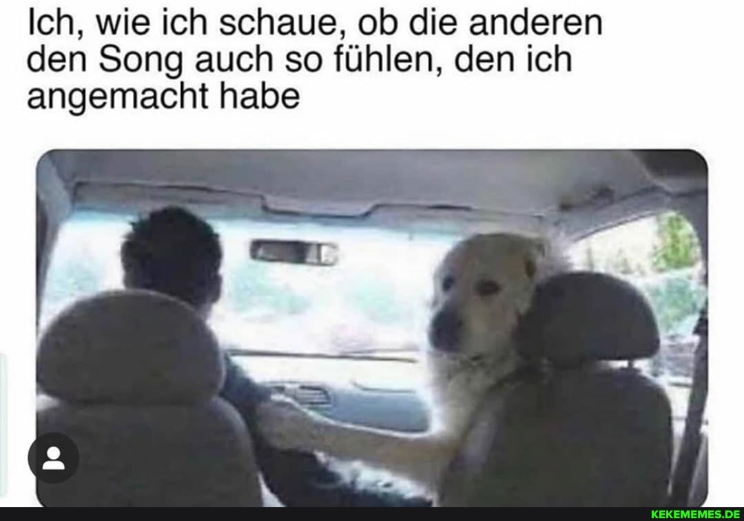 Ich, wie ich schaue, ob die anderen den Song auch so fühlen, den ich angemacht habe