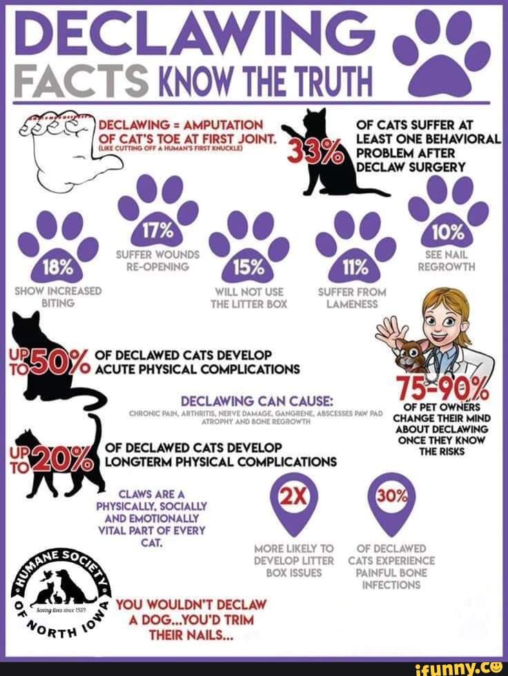 DECLAWING FACTS KNOW THE TRUTH 