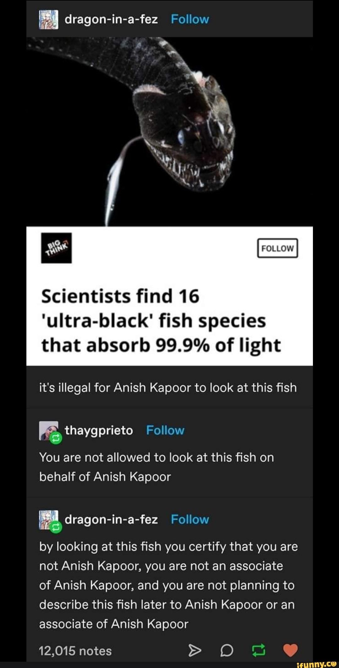 dragon-in-a-fez Follow
FOLLOW
Scientists find 16
'ultra-black' fish species that absorb 99.9% of light
it's illegal for Anish Kapoor to look at this fish
Follow
You are not allowed to look at this fish on behalf of Anish Kapoor
Follow
by looking at this fish you certify that you are not Anish Kapoor, you are not an associate of Anish Kapoor, and you are not planning to describe this fish later to Anish Kapoor or an associate of Anish Kapoor
12,015 notes