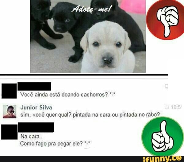 HE
Você ainda está doando cachorros? Junior Silva
sim, você quer qual? pintada na cara ou pintada no rabo?