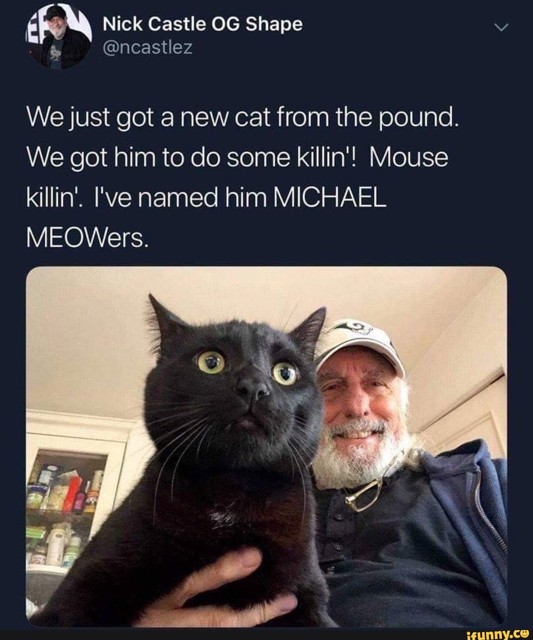 We just got a new cat from the pound.
We got him to do some killin'! Mouse
killin'. I've named him MICHAEL
MEOWers.