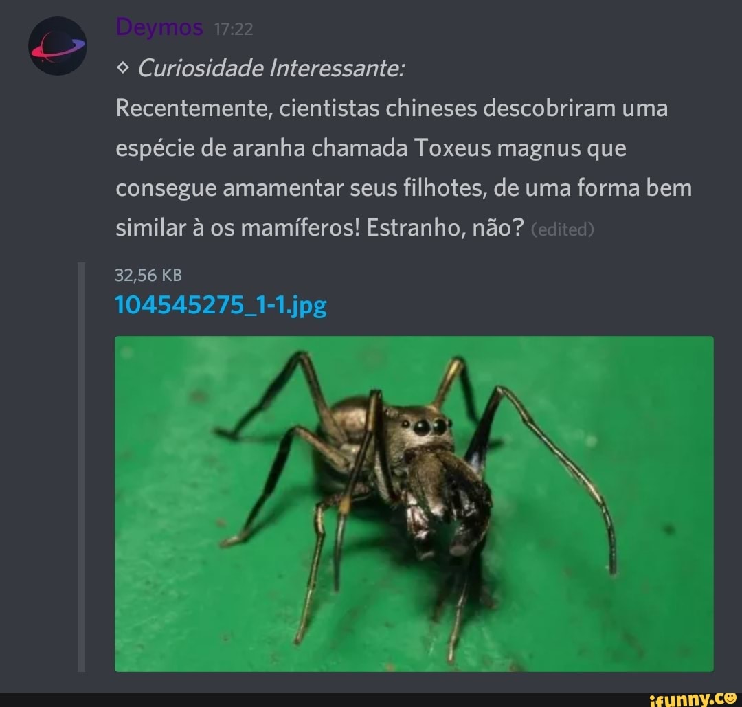 9 Curiosidade Interessante:
Recentemente, cientistas chineses descobriram uma
espécie de aranha chamada Toxeus magnus que
consegue amamentar seus filhotes, de uma forma bem
similar à os mamíferos! Estranho, não? (edited)
32,56 KB