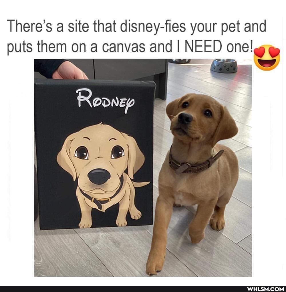 There's a site that disney-fies your pet and puts them on a canvas and I NEED one!