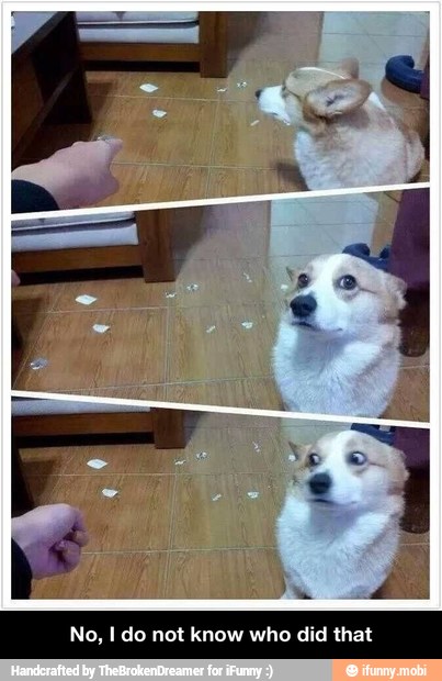 Do
No, I do not know who did that - No, I do not know who did that