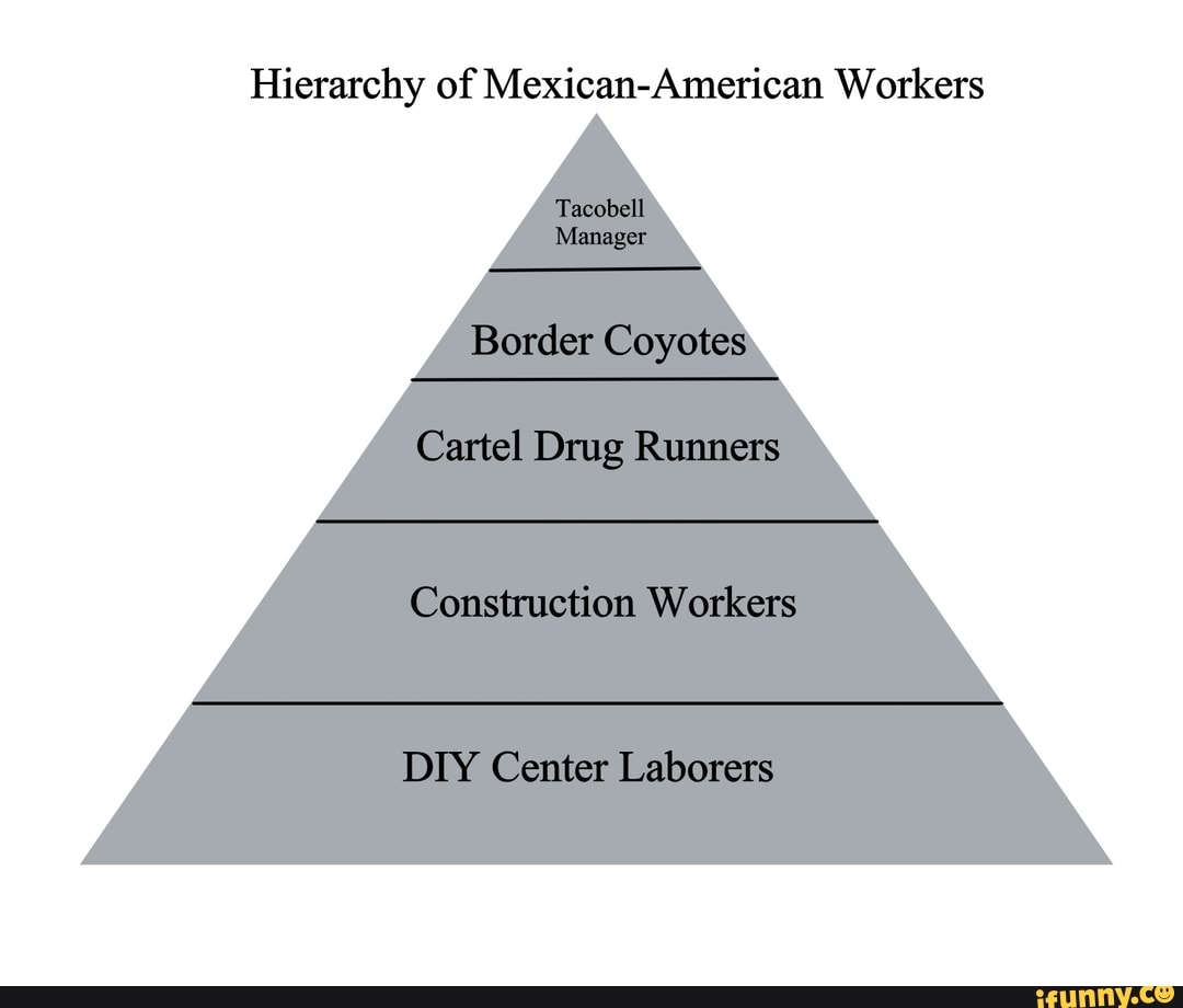 Mexican Cartel Hierarchy