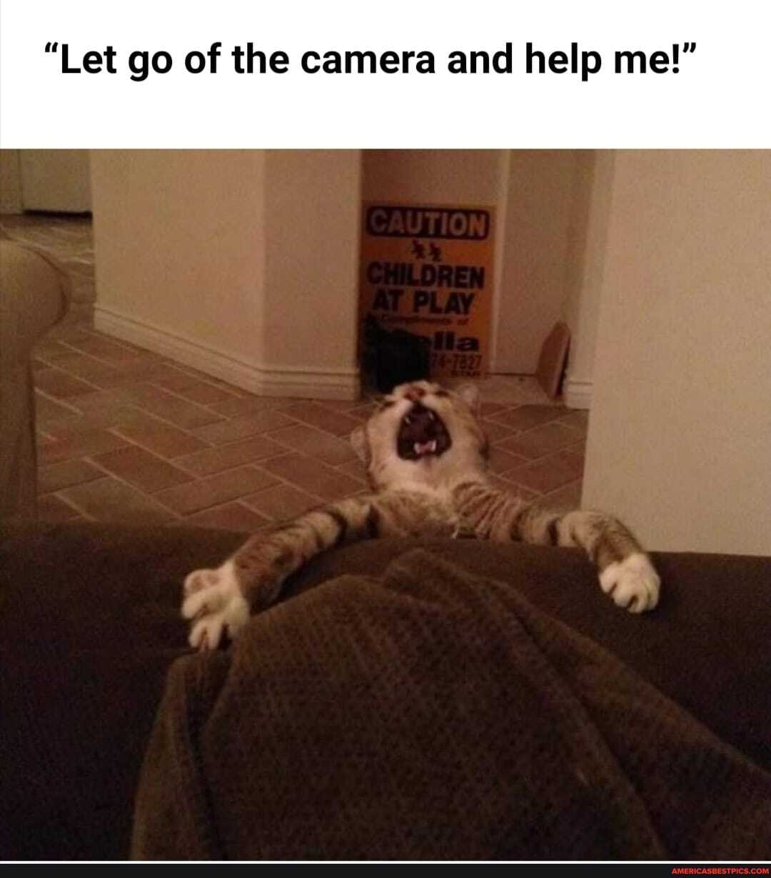 "Let go of the camera and help me!"