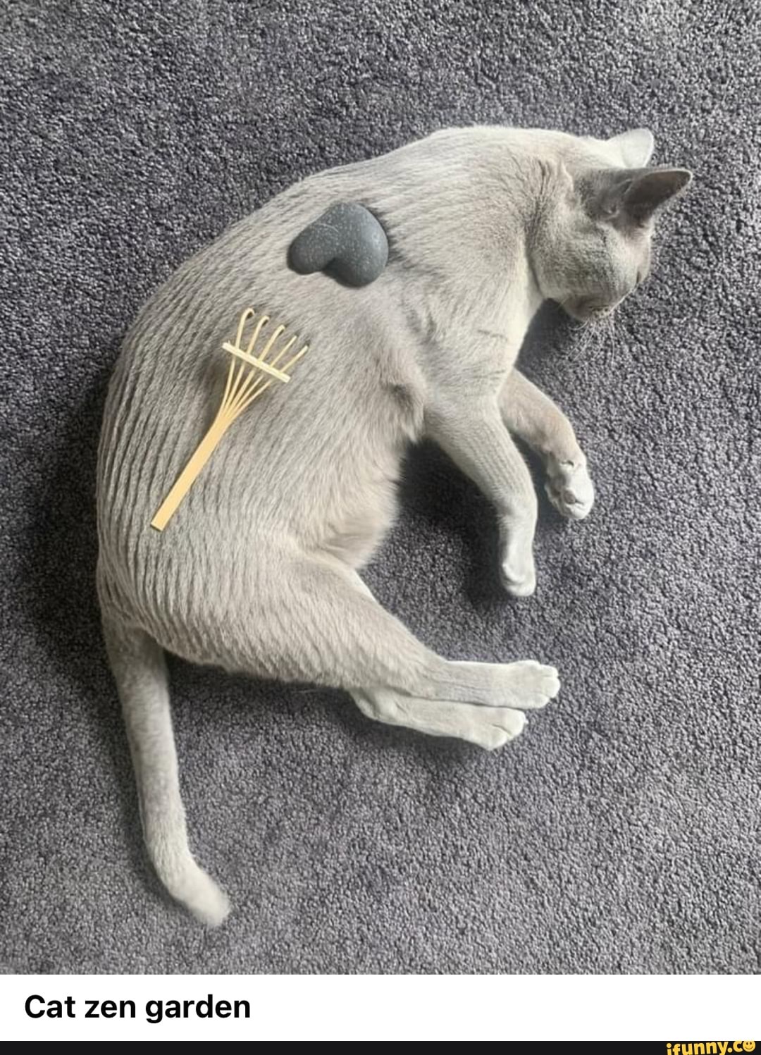 Zengarden memes. Best Collection of funny Zengarden pictures on iFunny