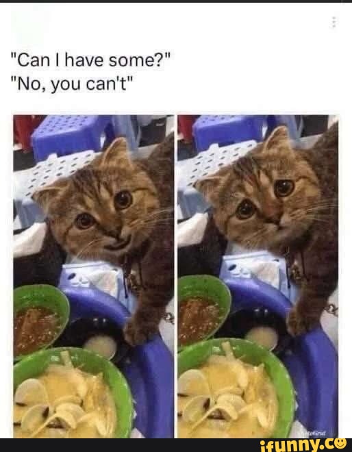 Internet Memes Memes The Best Memes On IFunny internet-memes-memes-the-best-memes-on-ifunny