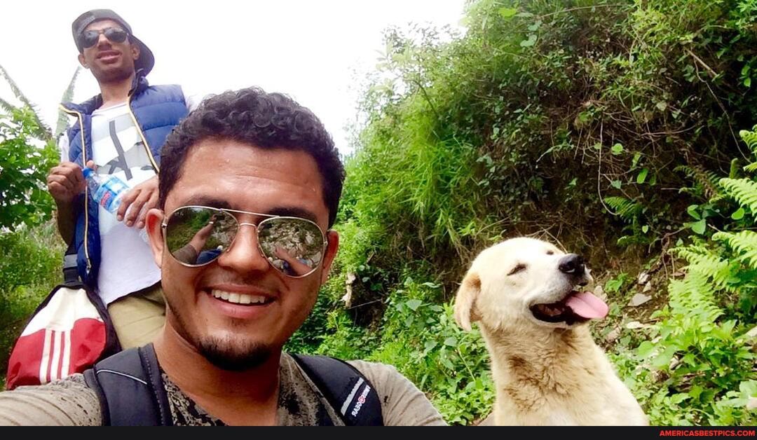 majestic, village, dog, guided, thick, forest, mil