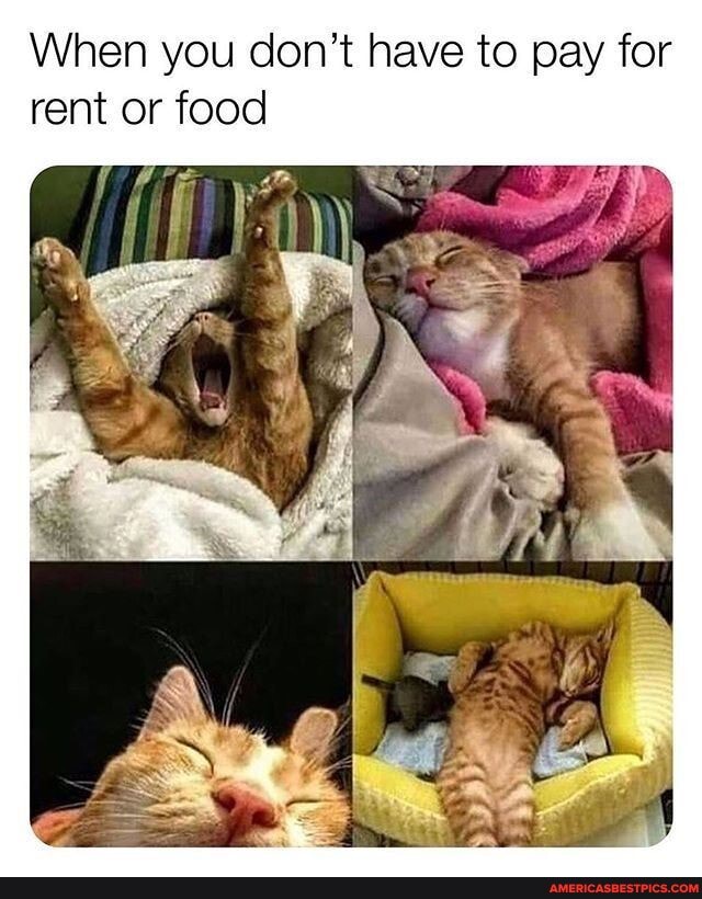 When you don't have to pay for rent or food