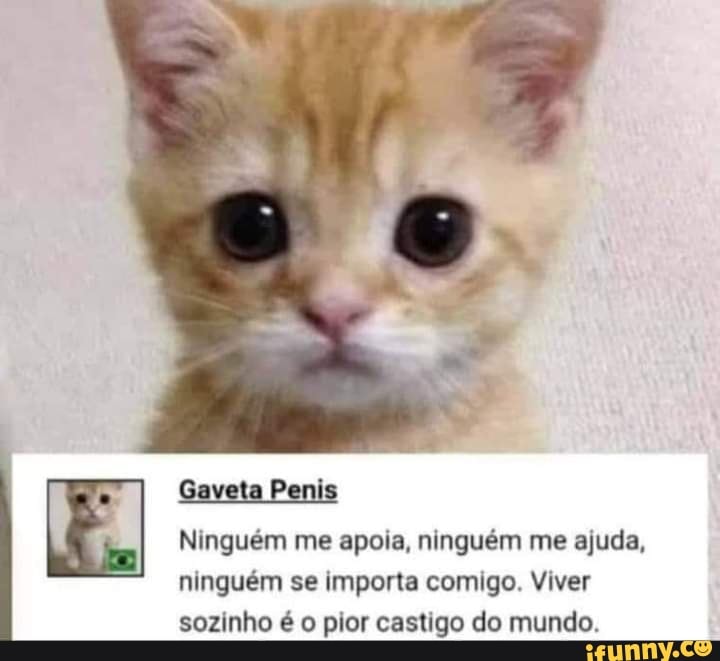 EL
Gaveta Penis
Ninguém me apoia, ninguém me ajuda, ninguém se importa comigo. Viver sozinho é o pior castigo do mundo.
