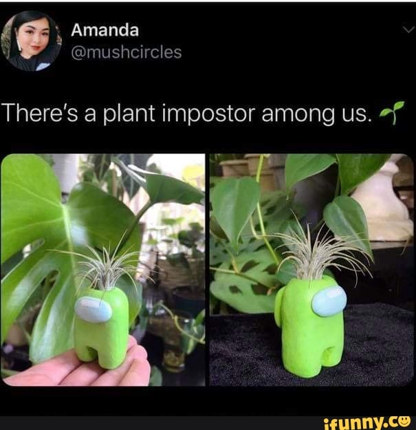 Di There's a plant impostor among us. #f - iFunny