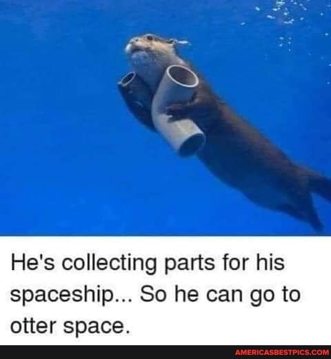 He's collecting parts for his spaceship... So he can go to otter cnace
