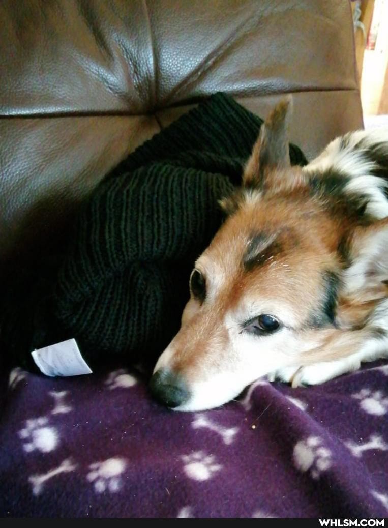 left, jumper, sofa, going, work, mum, messaged