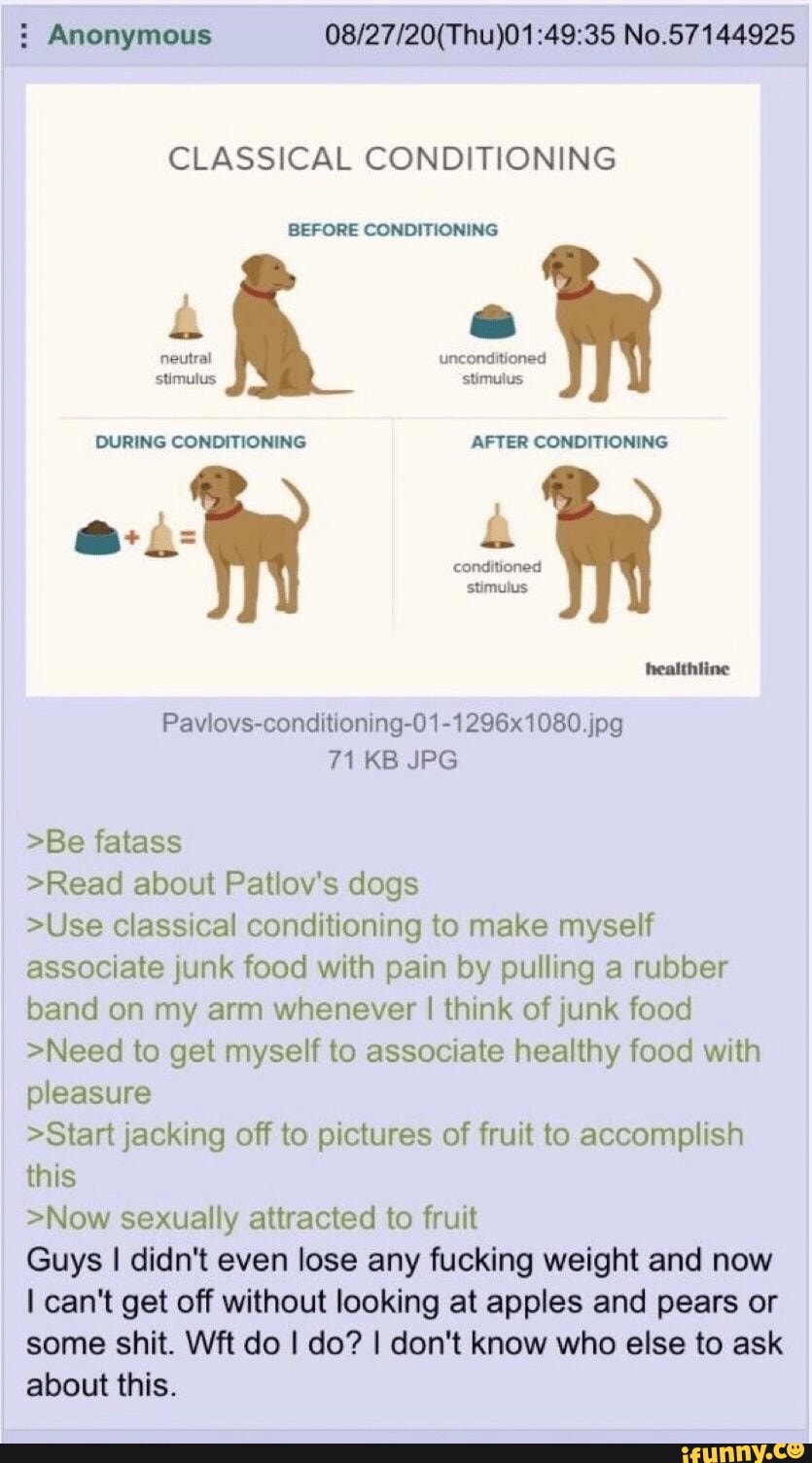 can i use classical conditioning on my dog